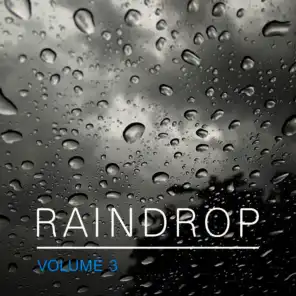 Raindrop, Vol. 3