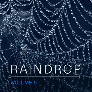 Raindrop, Vol. 5