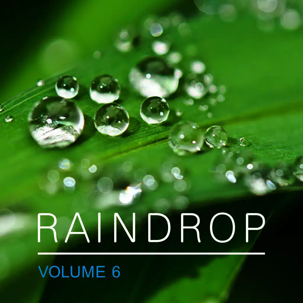 Raindrop, Vol. 6