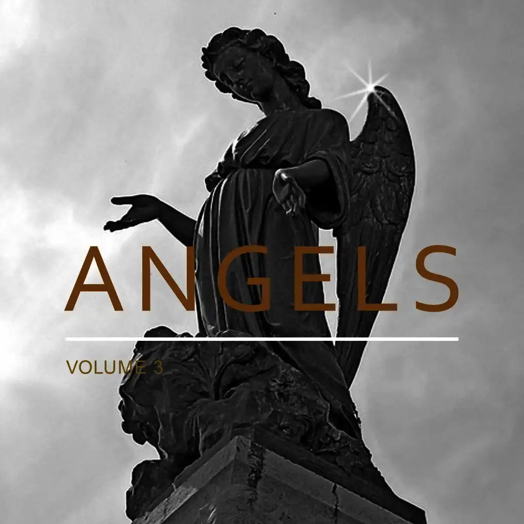 Angels, Vol. 3