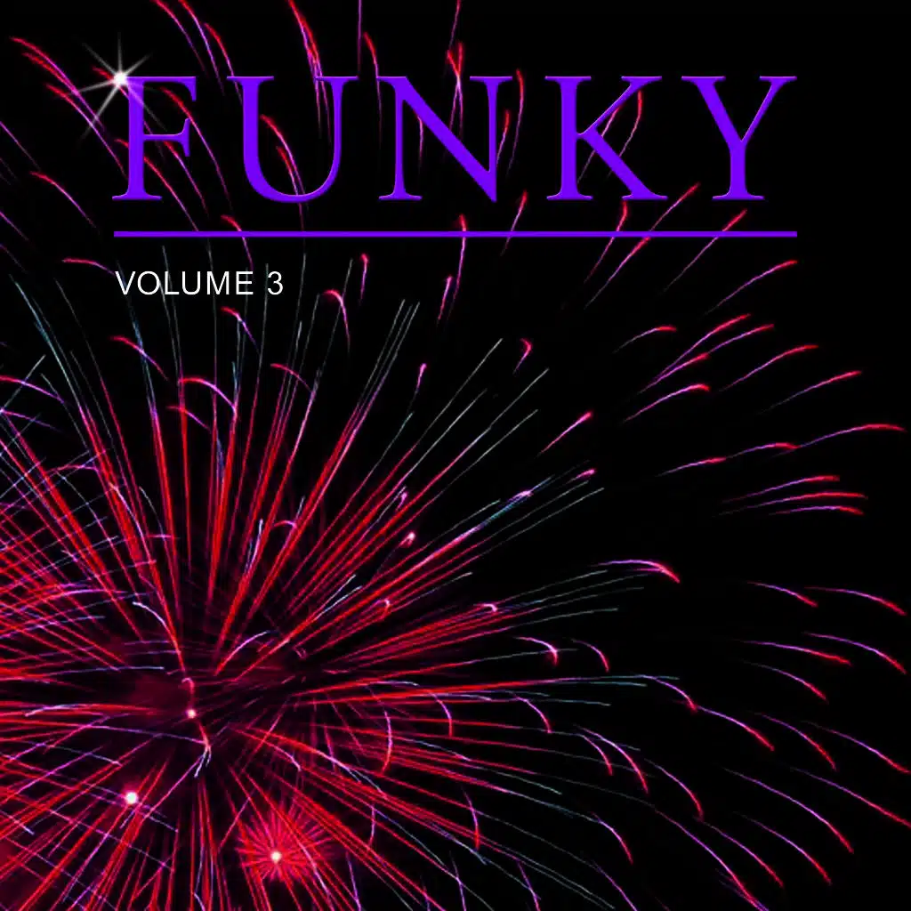 Funky, Vol. 3
