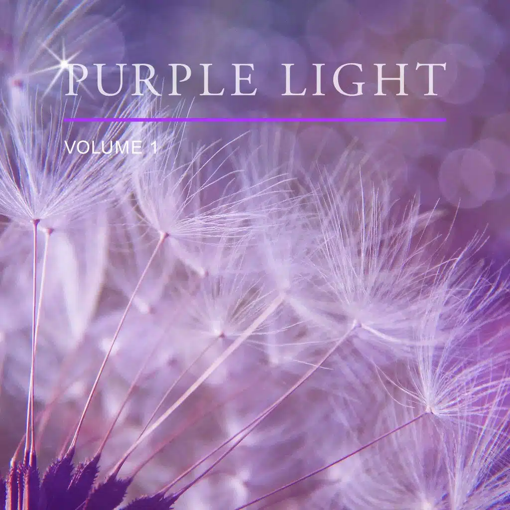 Purple Light, Vol. 1