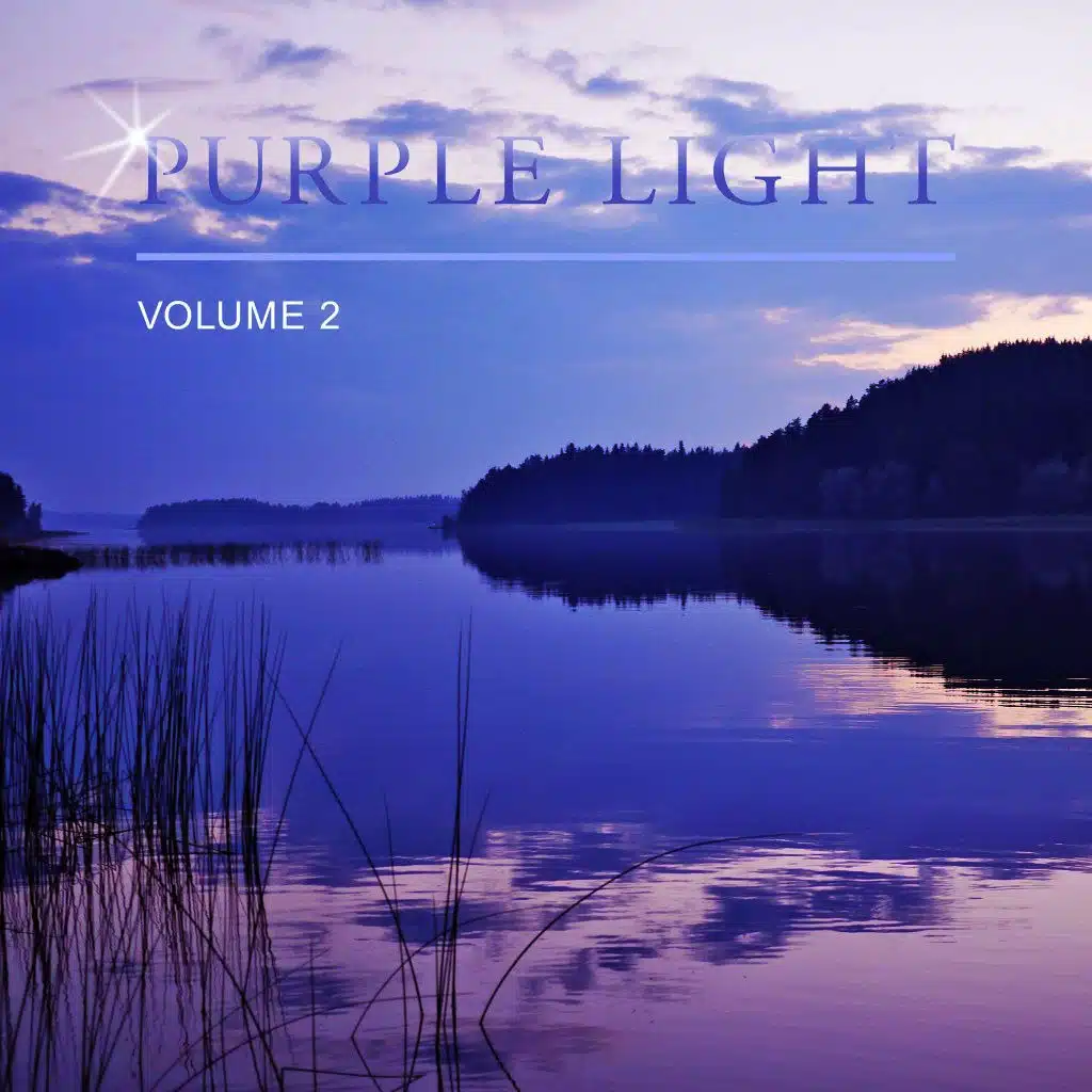 Purple Light, Vol. 2