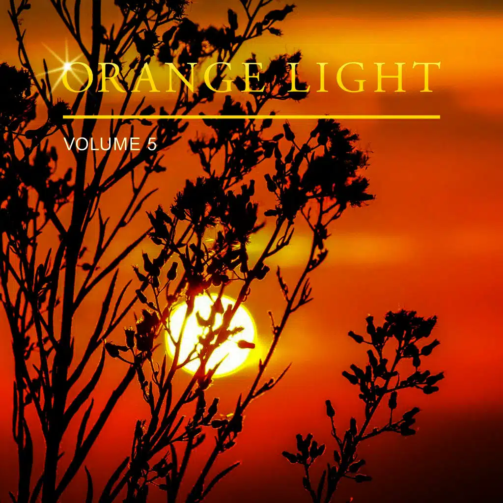 Orange Light, Vol. 5
