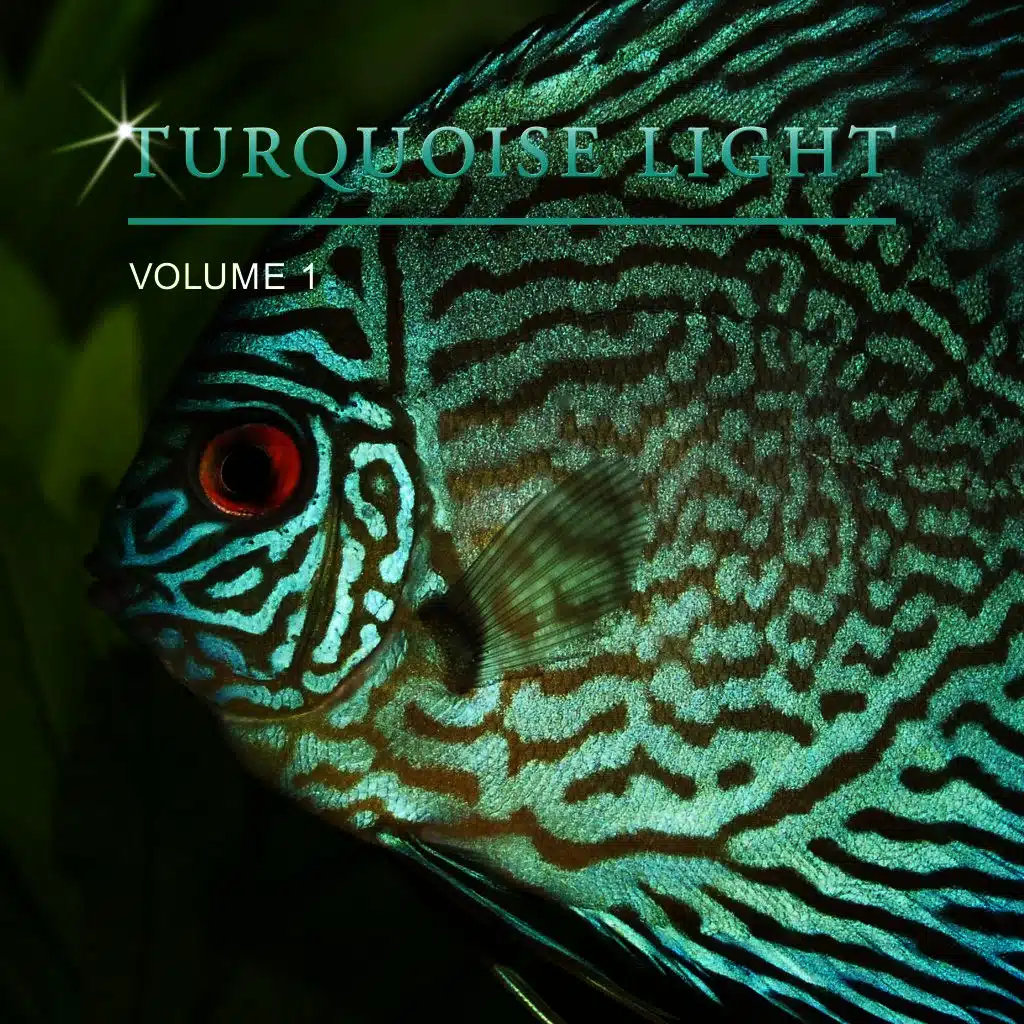 Turquoise Light, Vol. 1