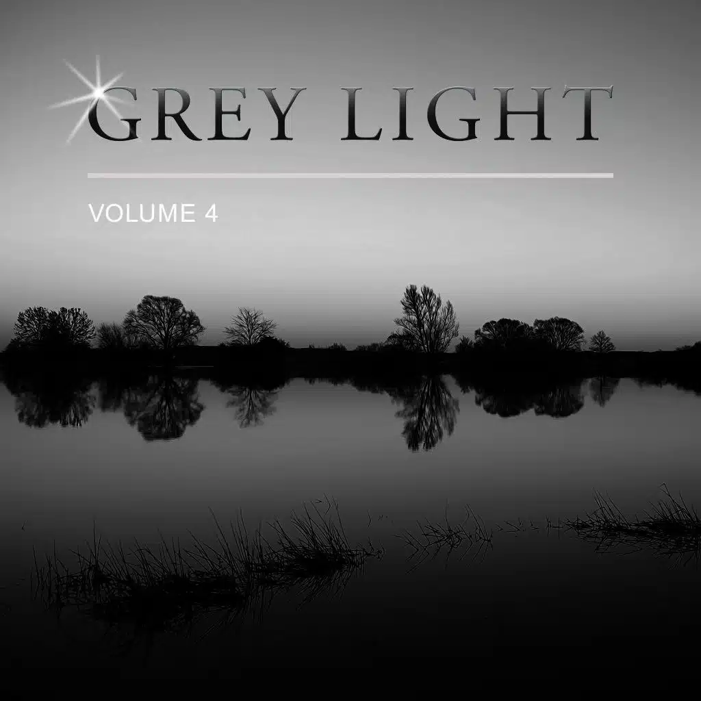 Grey Light, Vol. 4