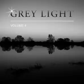 Grey Light, Vol. 4