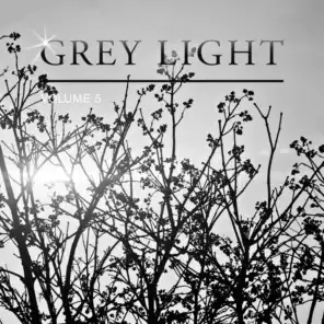 Grey Light, Vol. 5