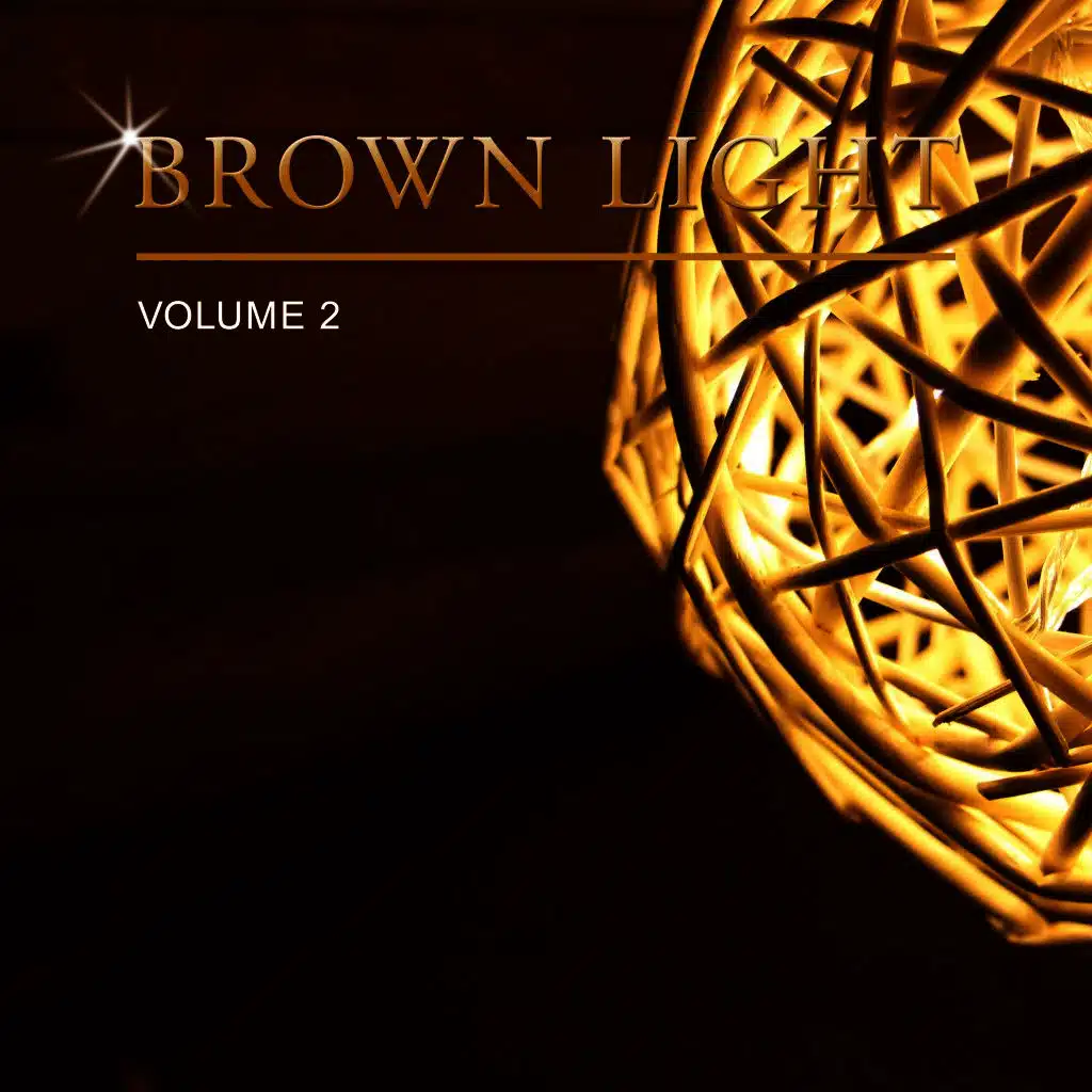 Brown Light, Vol. 2