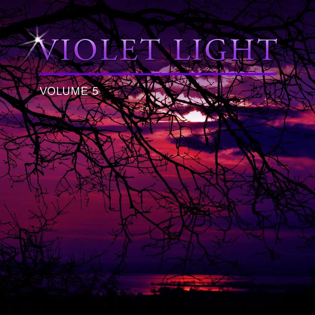 Violet Light, Vol. 5