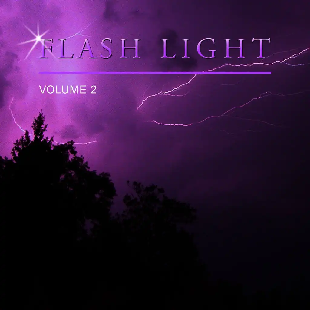 Flash Light, Vol. 2