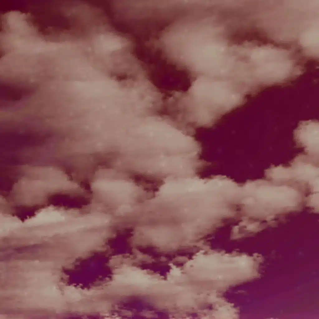 Ama Todo lo que Eres