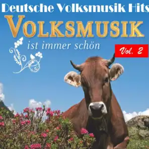Deutsche Volksmusik Hits - Volksmusik ist immer schön, Vol. 2