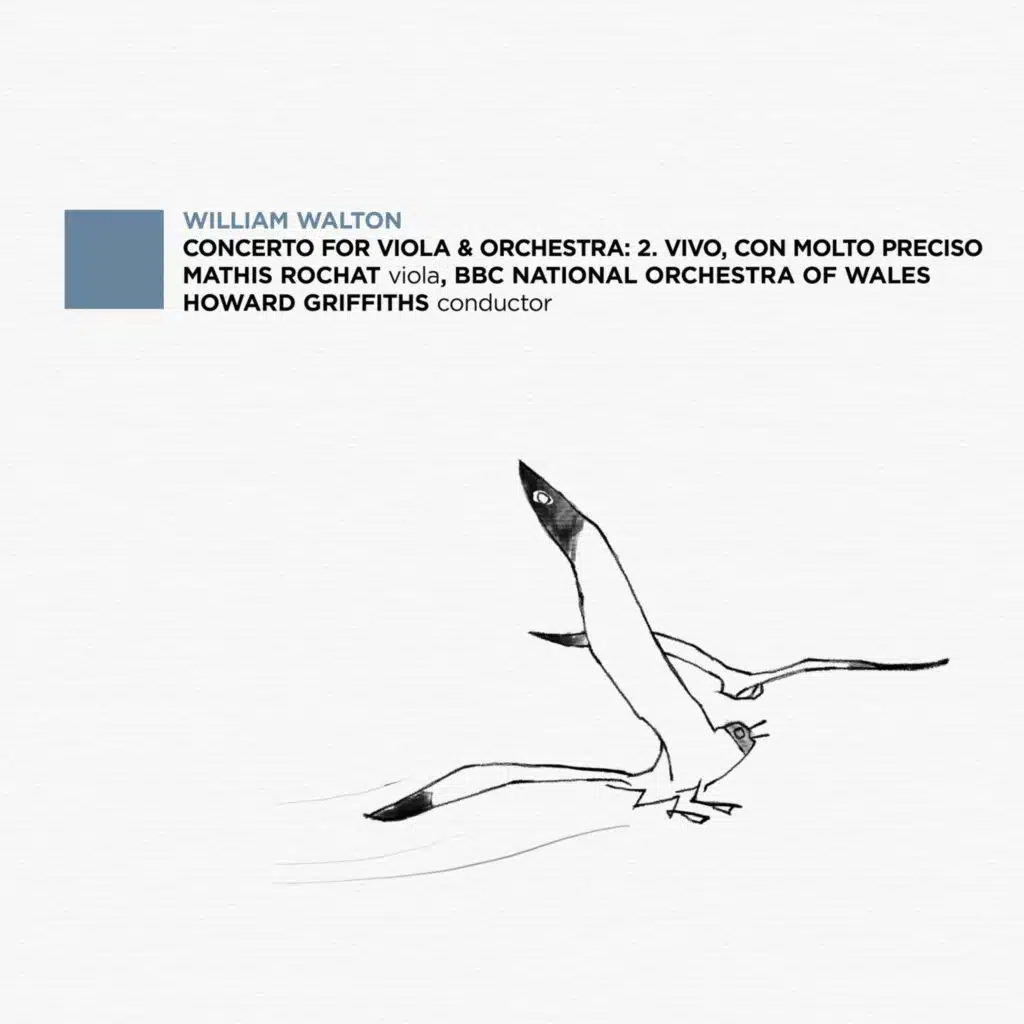 Mathis Rochat, BBC National Orchestra of Wales & Howard Griffiths