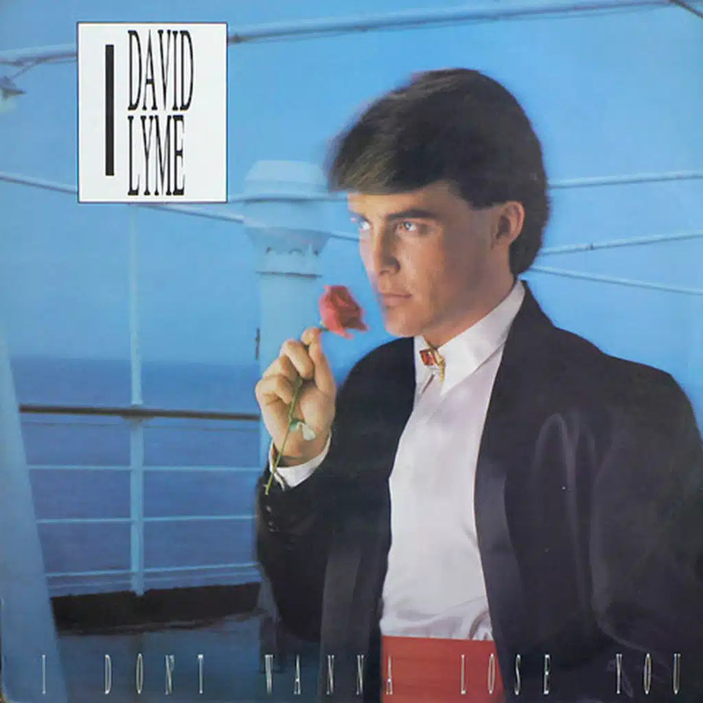 I Don't Wanna Lose You