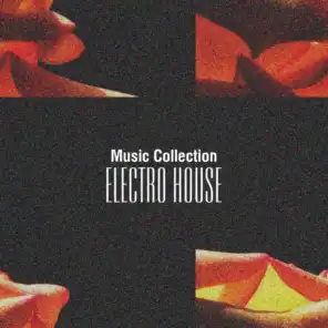 Music Collection. Electro House, Vol. 1