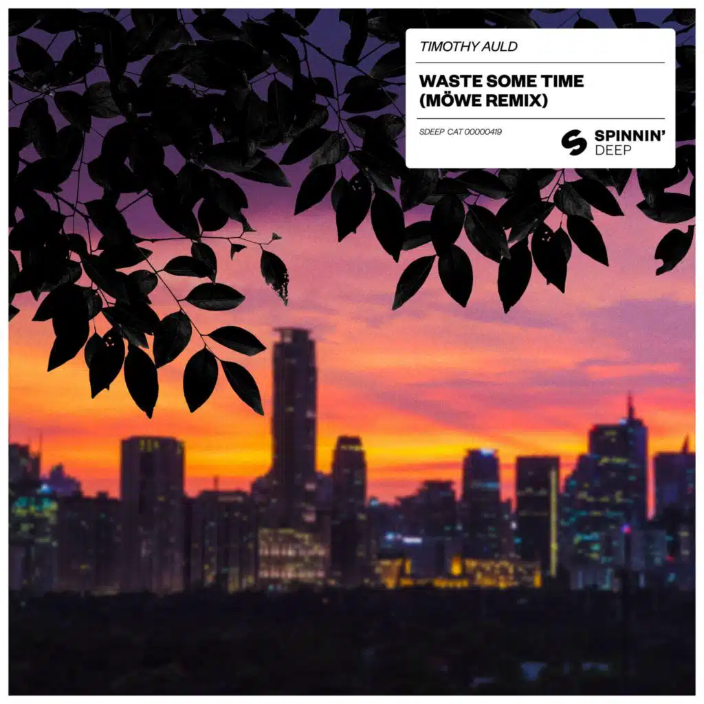 Waste Some Time (MÖWE Extended Remix) [feat. Möwe]