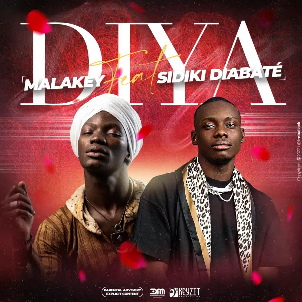 Diya (feat. Sidiki Diabaté)