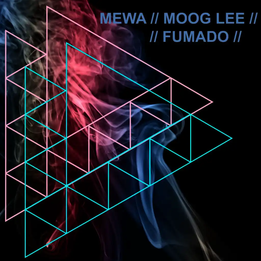 Mewa & Moog Lee