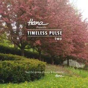 Hana presents Timeless Pulse Vol 2