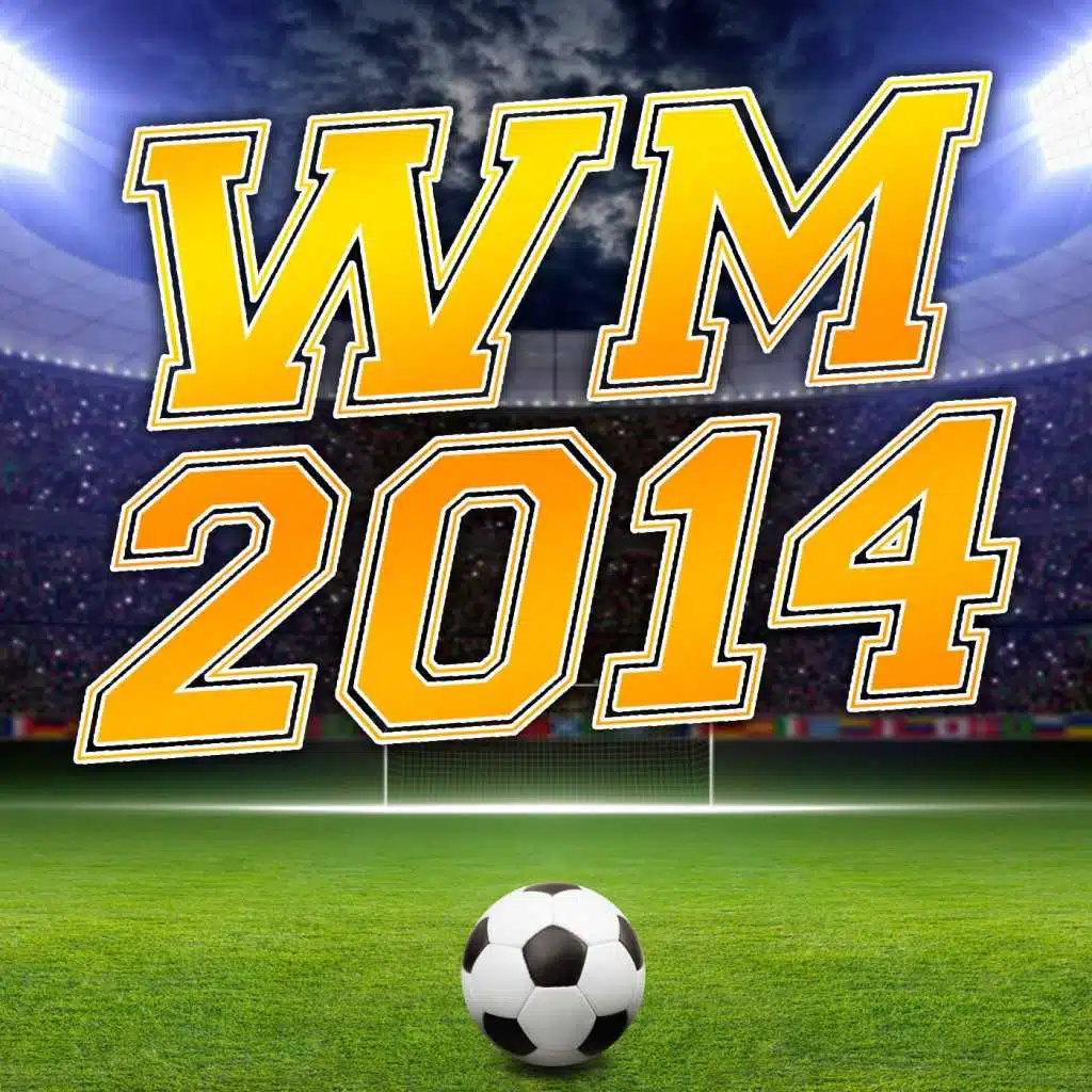 WM 2014