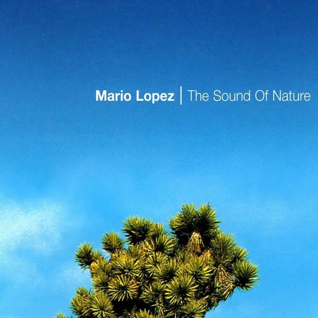 The Sound of Nature
