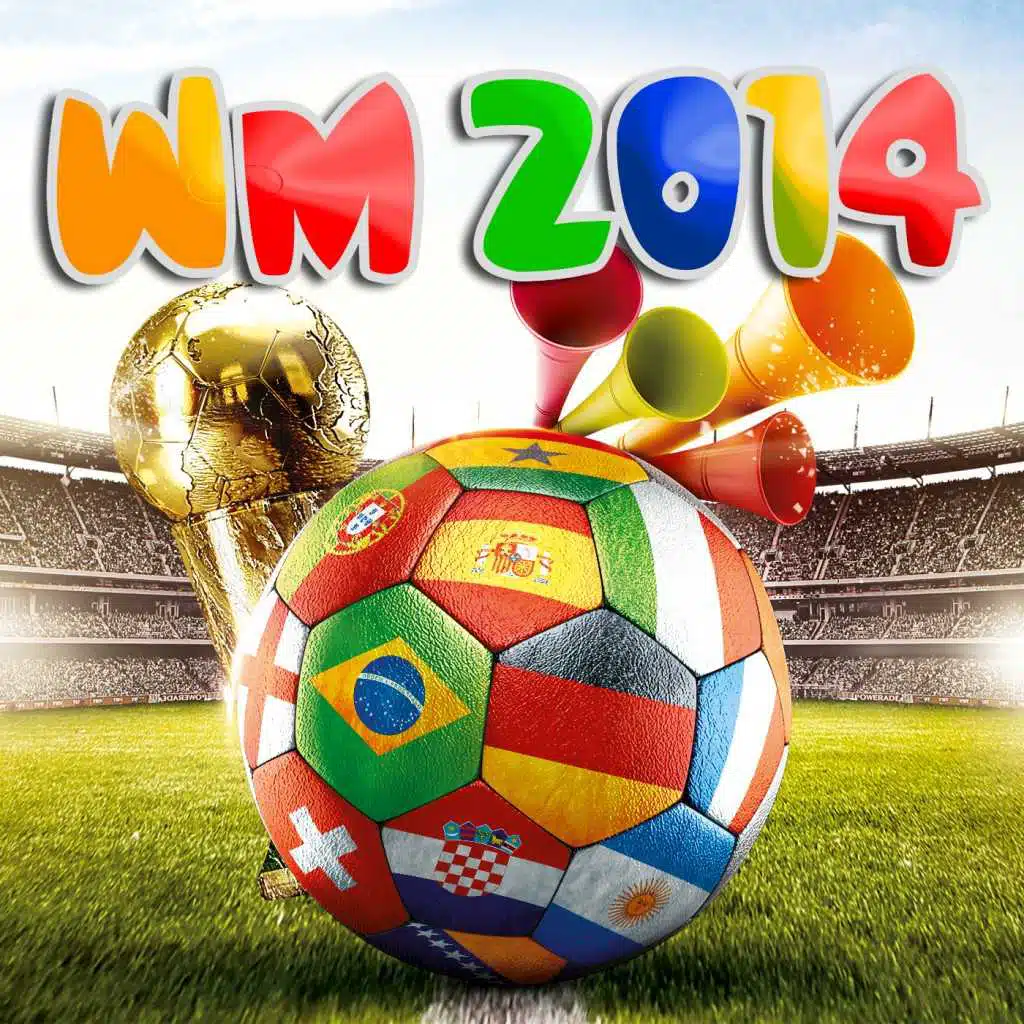 WM 2014