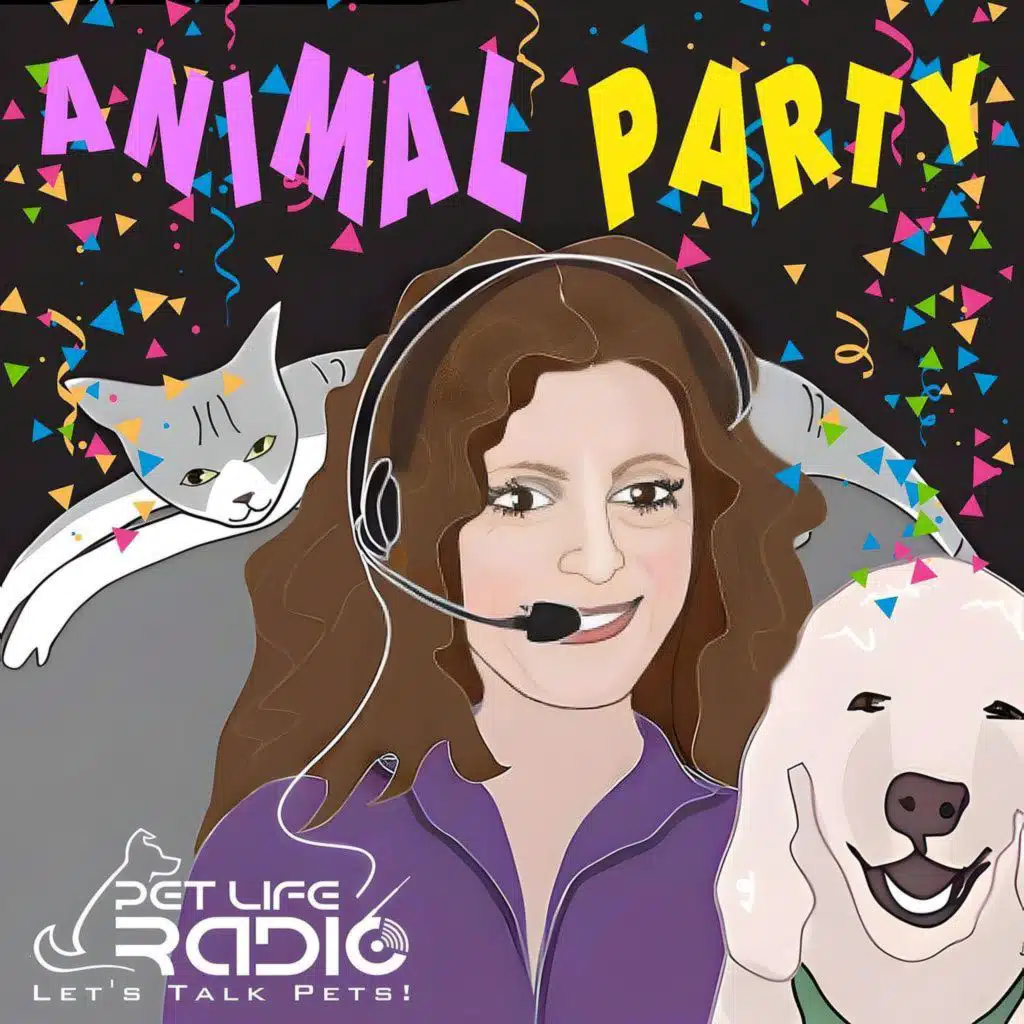 Animal Party Episode 226 Dog Drama, Rescue Dilemmas & the $10 Coop Hack