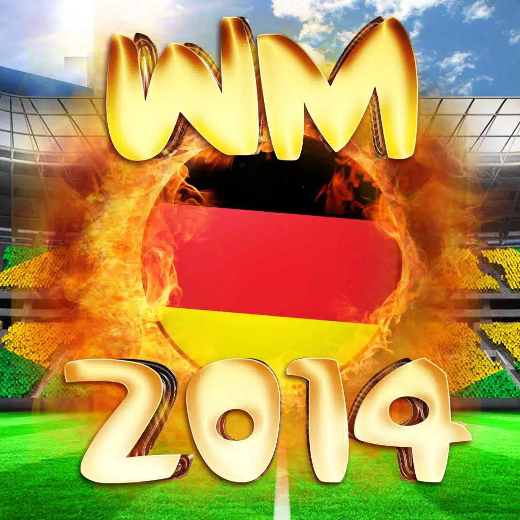 WM 2014