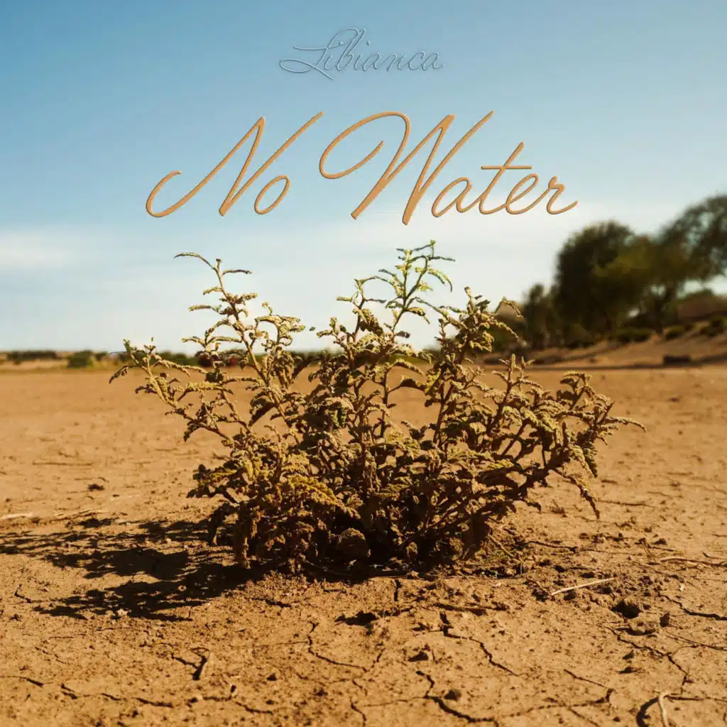 No Water