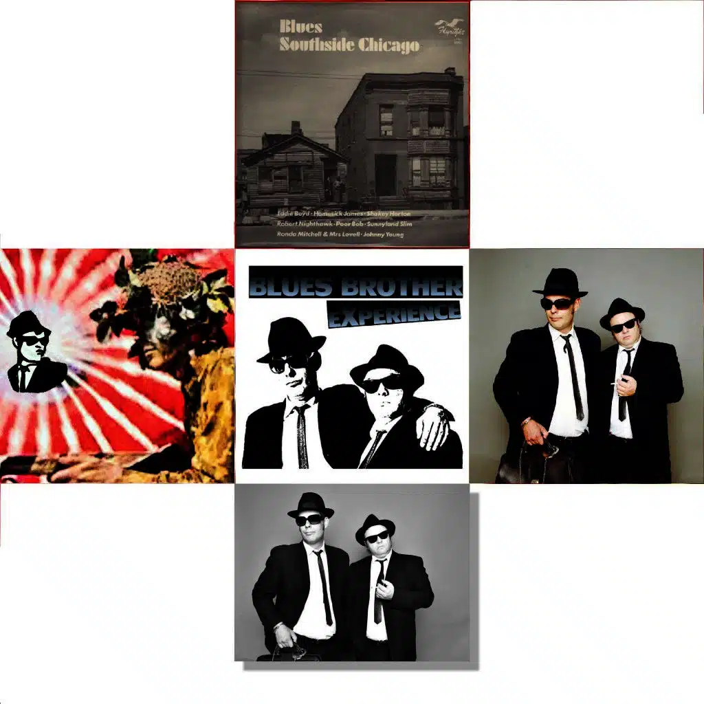 Blues Brother Experience feat. The Original Brothers Band