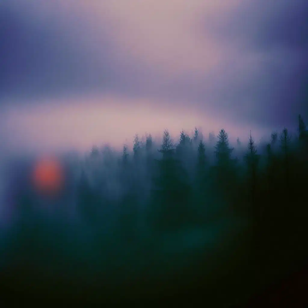 Johan Agebjörn & Mikael Ögren