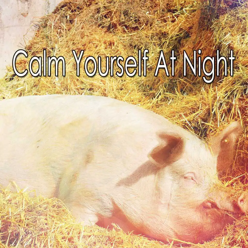 Calm Yourself At Night