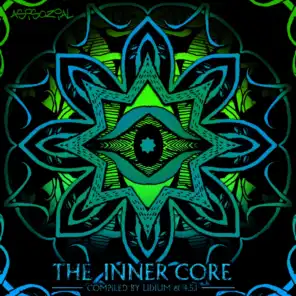 The Inner Core