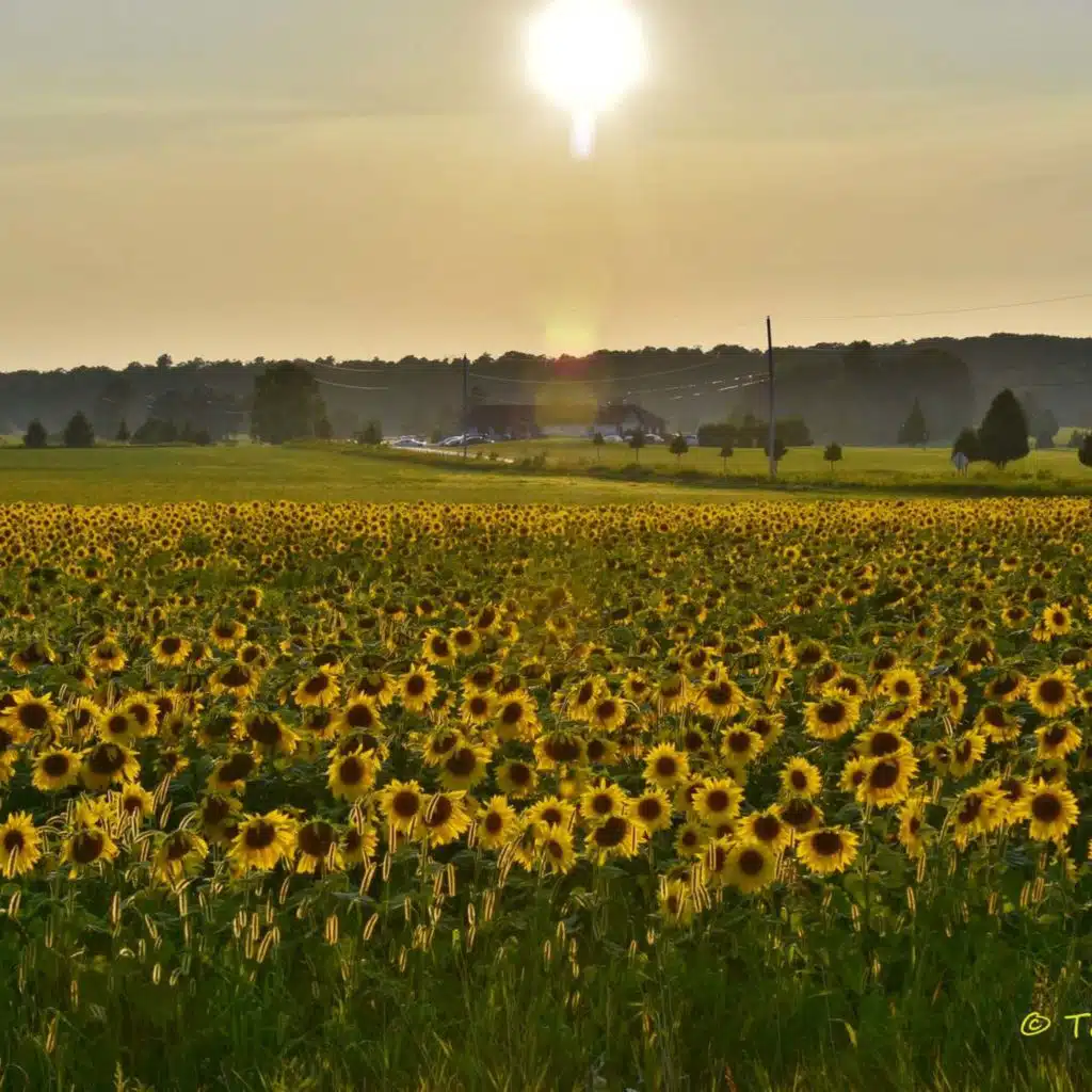 Encouragement and Prayer: Watch With Awareness! (8/5/25)