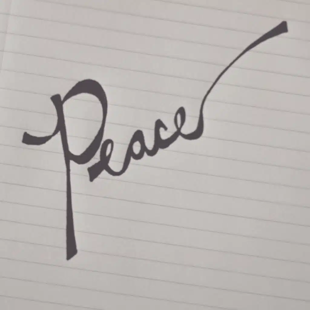 Peace, peace, when there is no peace - Kevin Stupca