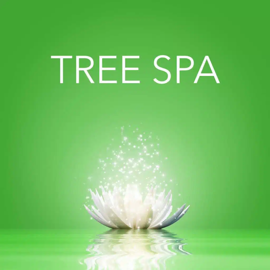 Tree Spa