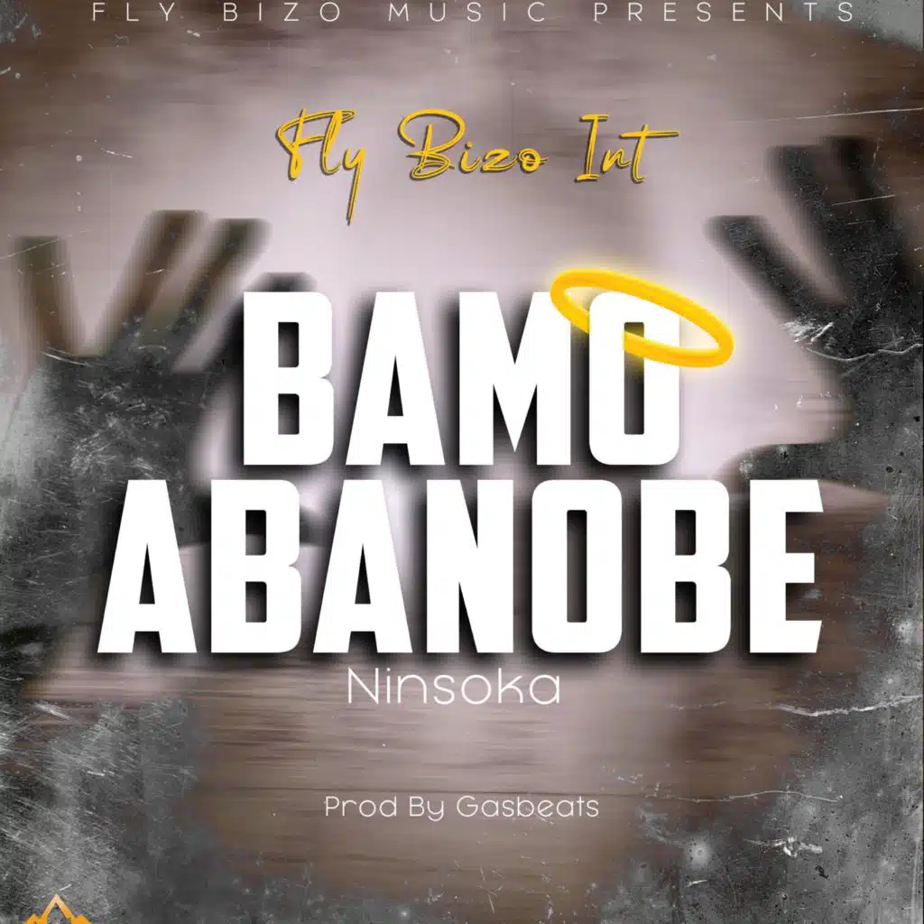 Fly Bizo Int