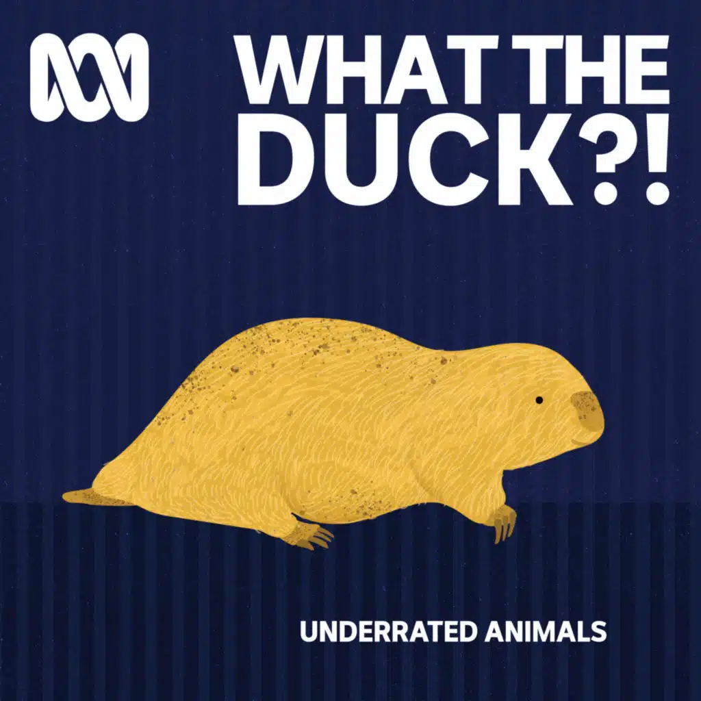 Underrated animals: Marsupial mole