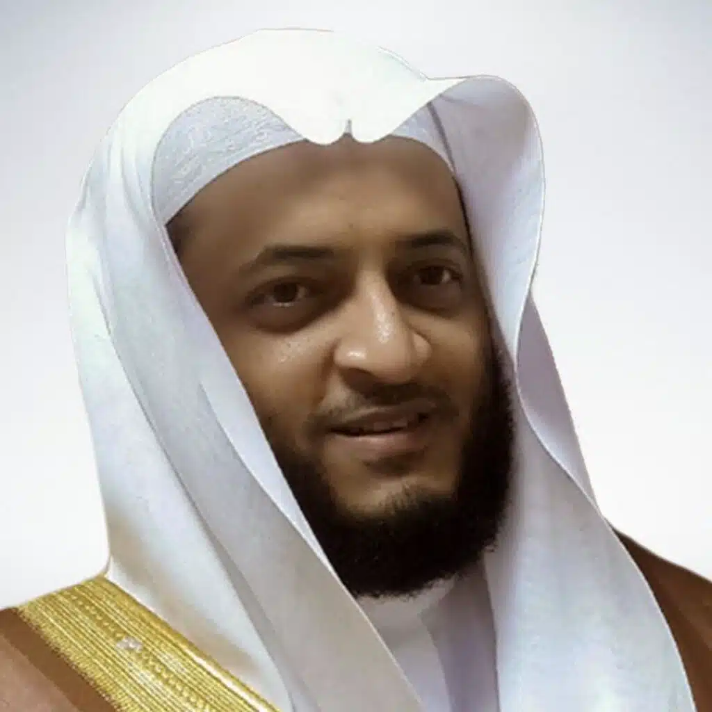 تلاوة قرآنية هادئة من سورة ص للشيخ هاني الرفاعي