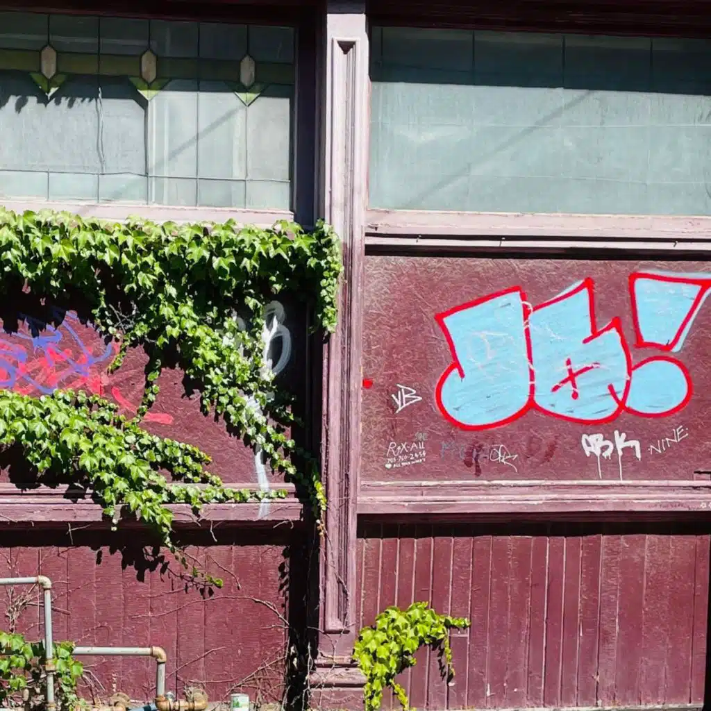 Welcome Distractions