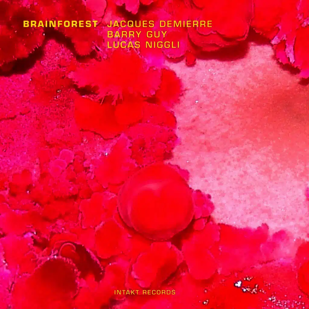 Brainforest