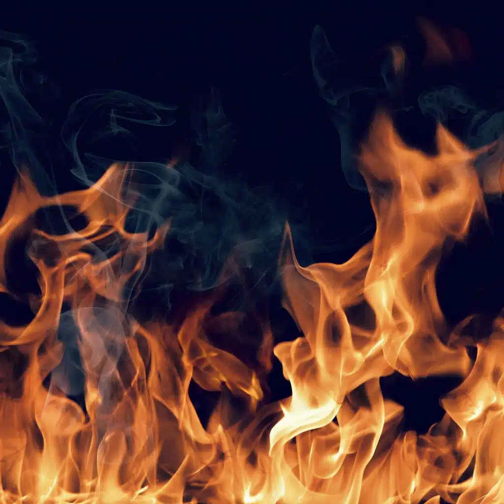 Sam Bandicoot, BrusBeat & sonolunicosam