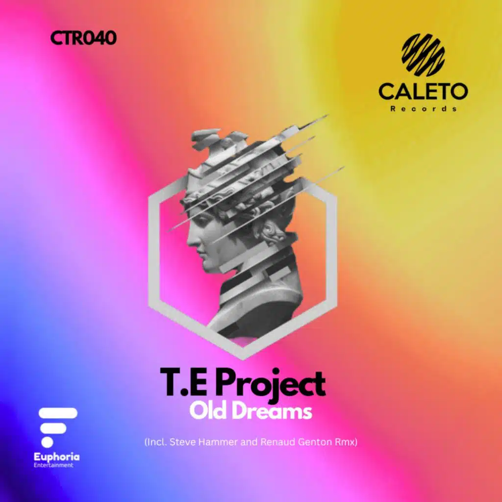 T.E Project