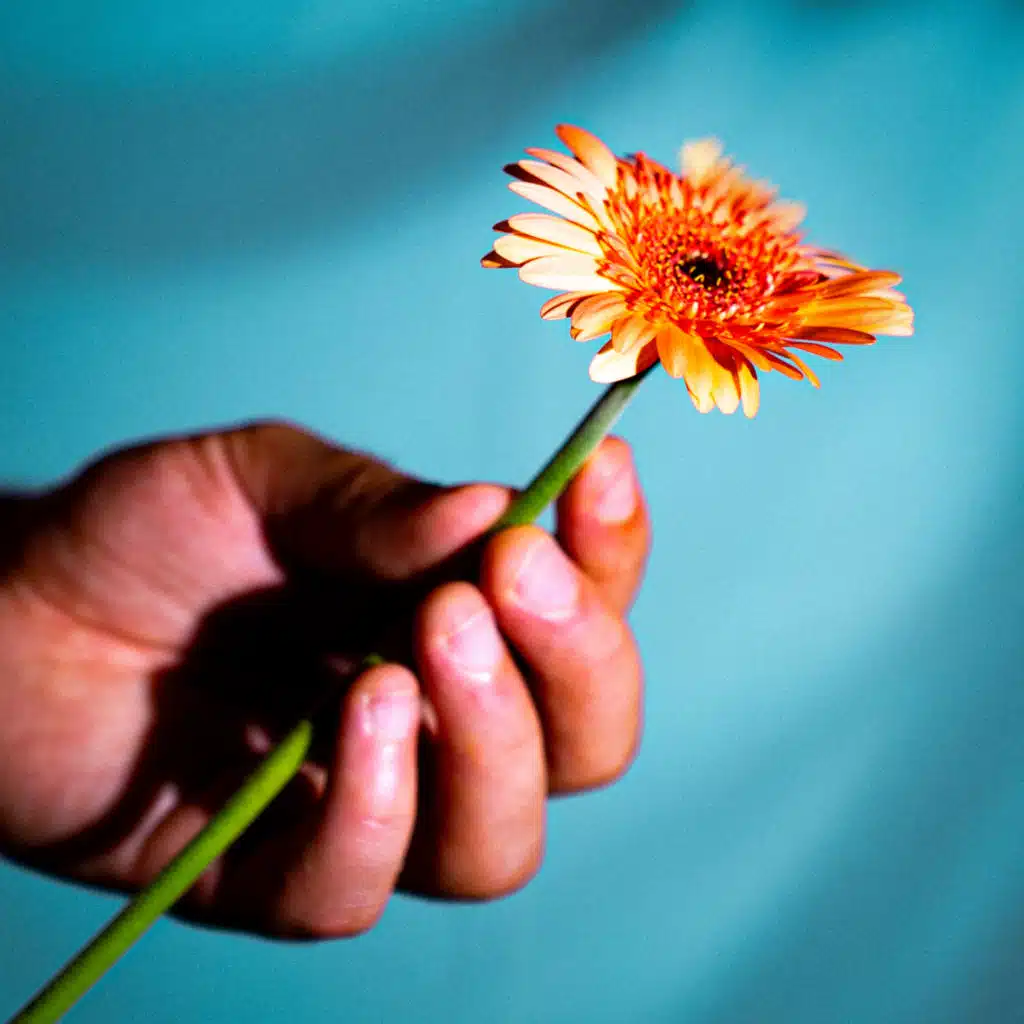 Pour faire la paix…