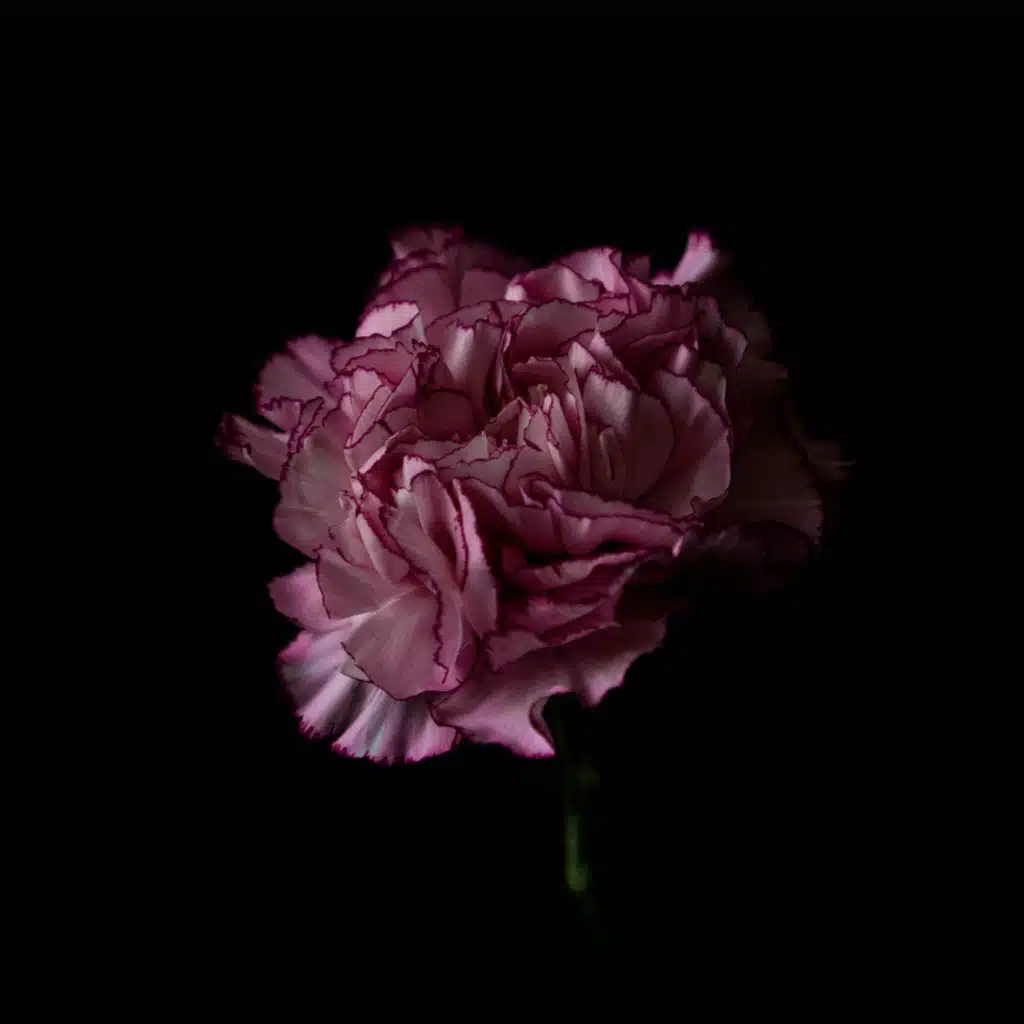 SWAG (Piano Instrumental)