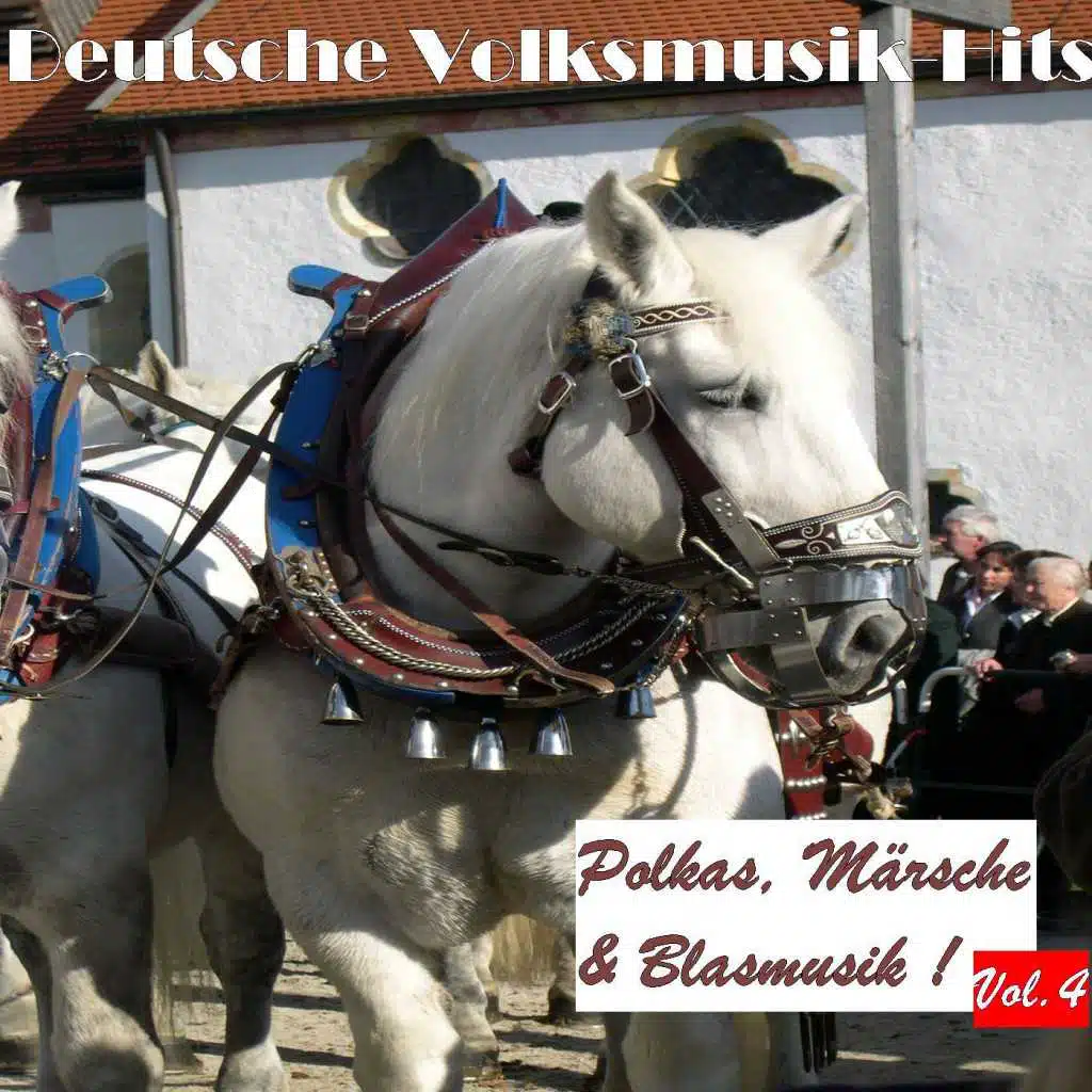 Deutsche Volksmusik Hits - Polkas, Märsche & Blasmusik! Vol. 4