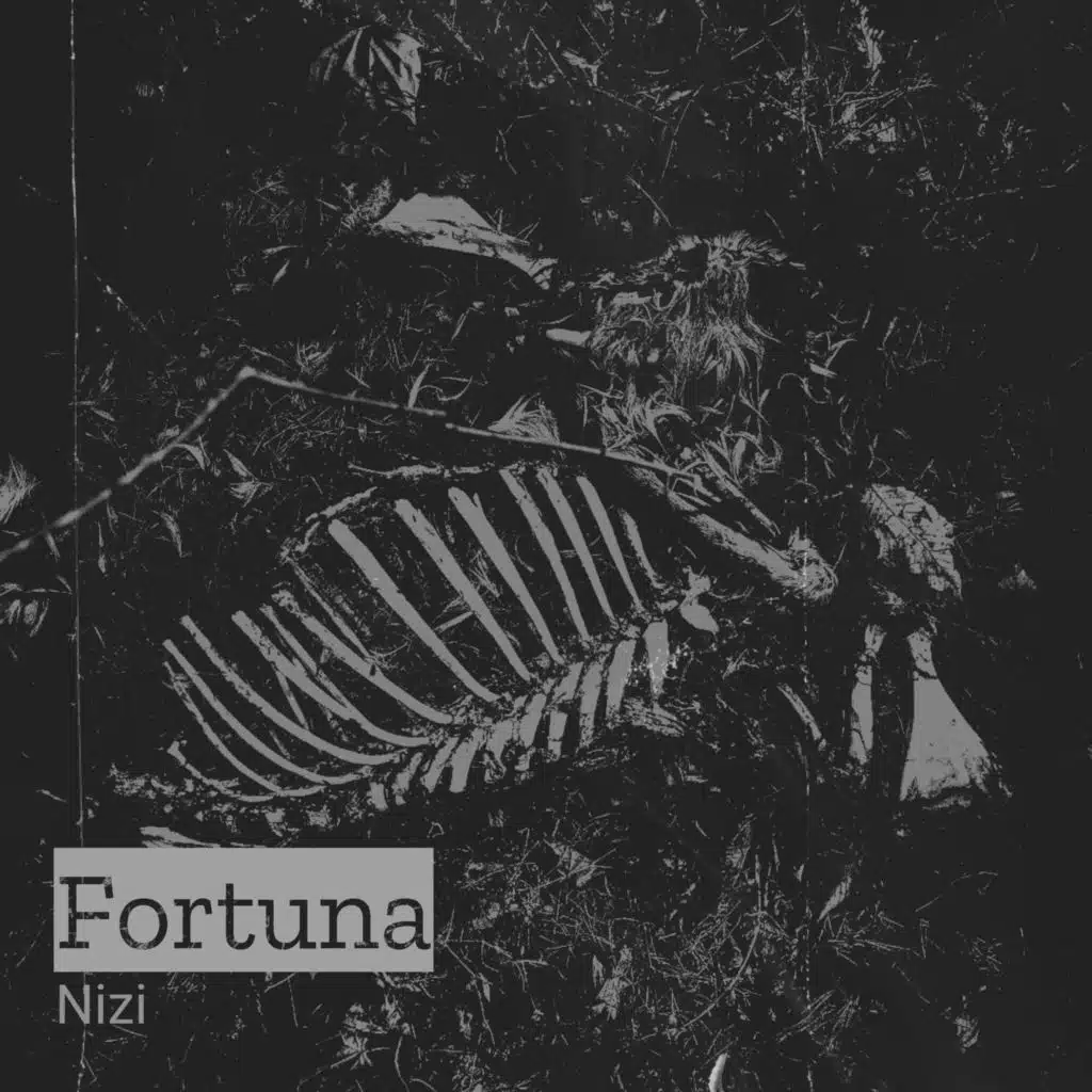 NIZI