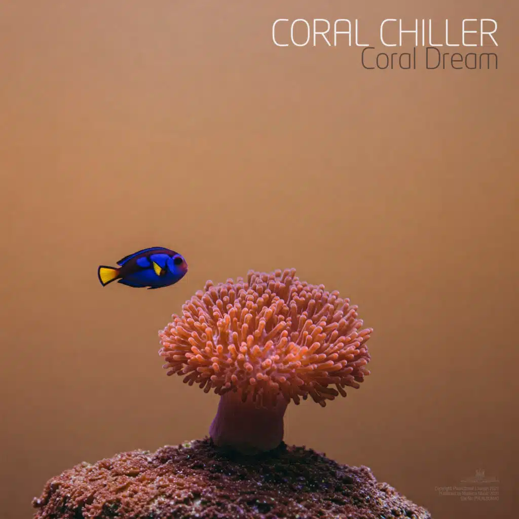Coral Chiller