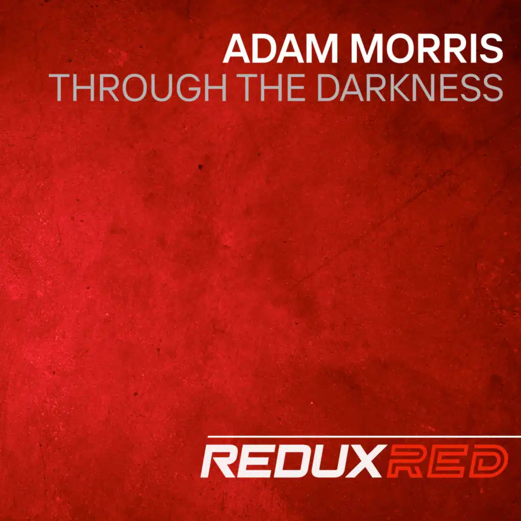 Through The Darkness